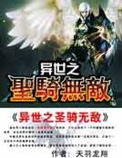 異世之聖騎無敵