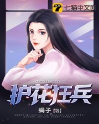 《護花狂兵》