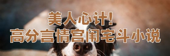 美人心計！高分言情宮闈宅鬥小說