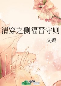 (BG/清穿同人)清穿之側福晉守則