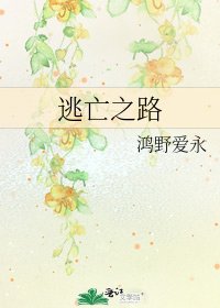 逃亡之路