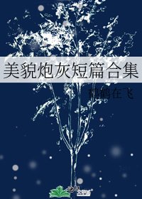 美貌炮灰短篇合集