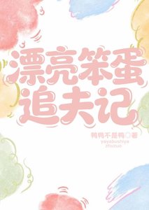 漂亮笨蛋追夫記