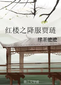 《(BG/紅樓同人)紅樓之降服賈璉》